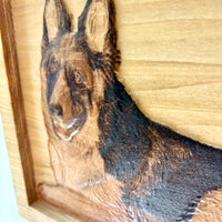 Marley - Custom German Shepherd Memorial Portrait